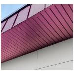 Jüpiter Lambri Profili