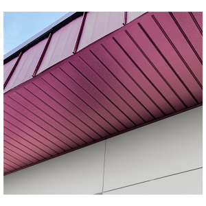 Jüpiter Lambri Profili